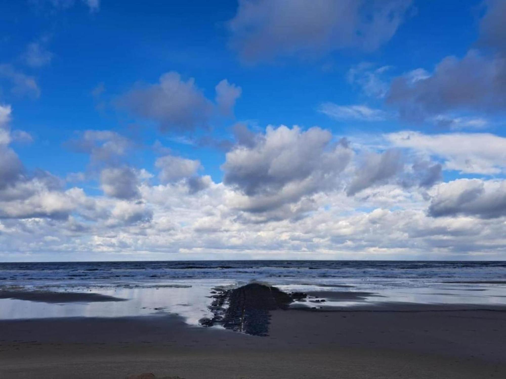Studio Hazenborgh In Callantsoog Near The Beach Dış mekan fotoğraf